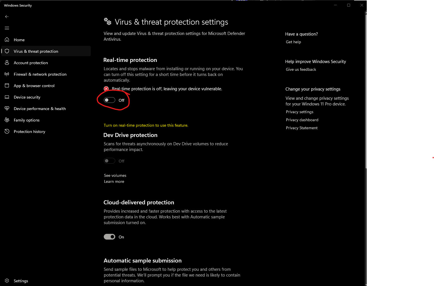 Real-Time Protection Real-Time Protection